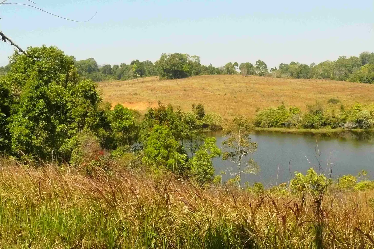 บรรยากาศธรรมชาติในเขาใหญ่ ใช้ประกอบบทความ ไม่ใช่ภาพโรงแรม