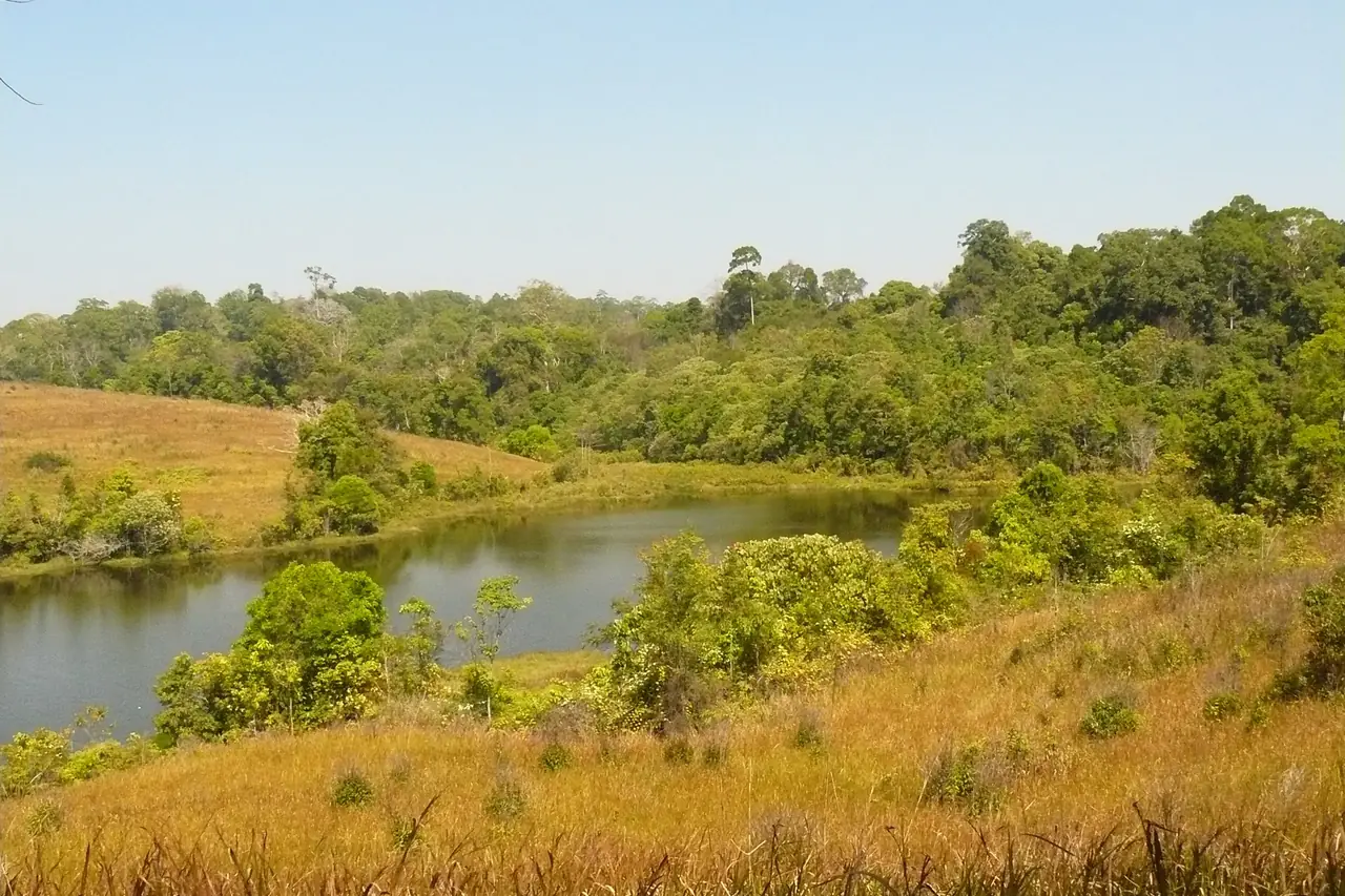 สระน้ำและทุ่งหญ้าในอุทยานแห่งชาติเขาใหญ่